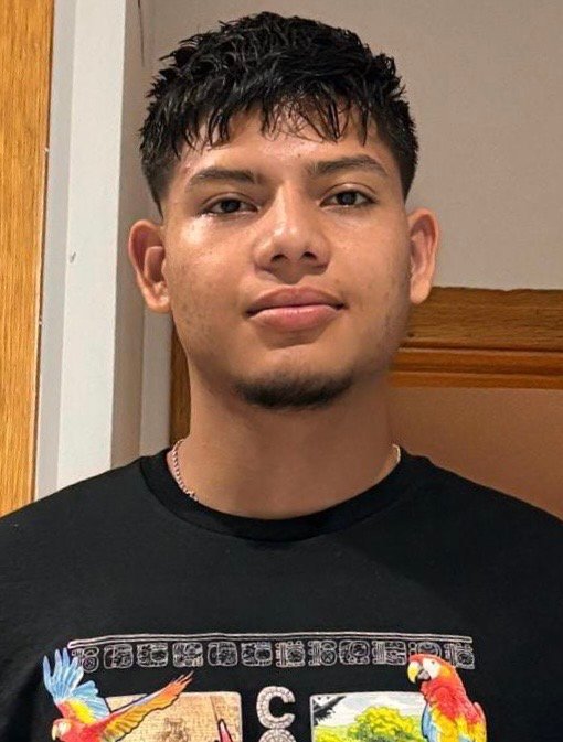Luis David Alvarado